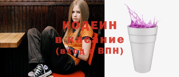 крисы Надым