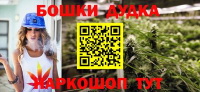 амф Обь