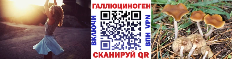 купить закладку  Узловая  Галлюциногенные грибы Psilocybe 