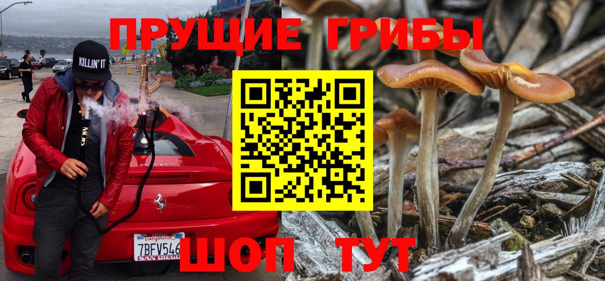 Галлюциногенные грибы ЛСД  Вход с VPN  Узловая 